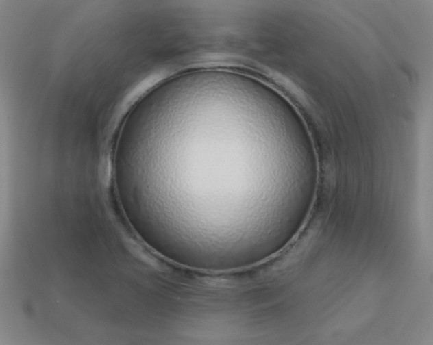 X0000113001413200909101746