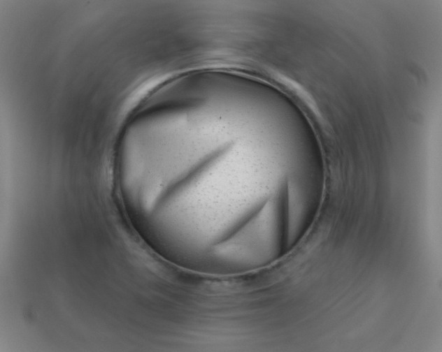 X0000113001415200909101746