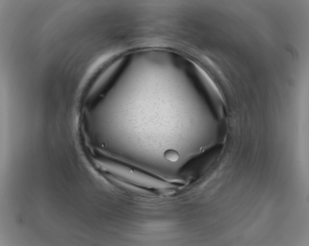 X0000113001416200909101746