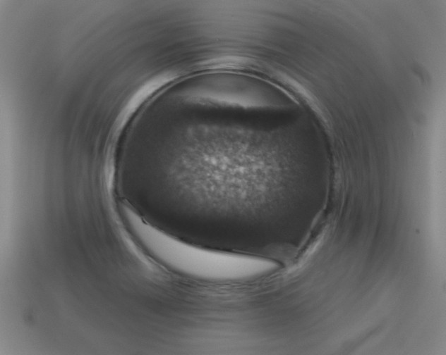 X0000113001418200909101746