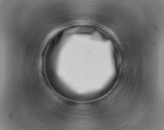 X0000113001419200909101746