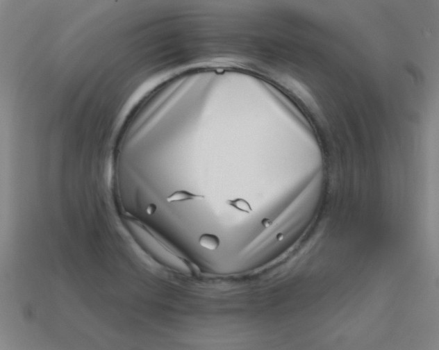 X0000113001420200909101746