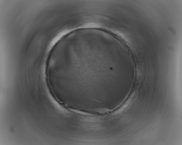 X0000113001422200909101746