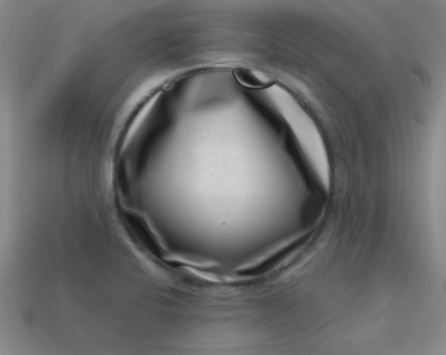 X0000113001424200909101746