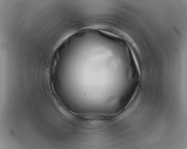 X0000113001425200909101746