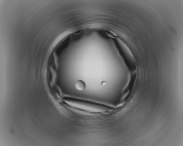 X0000113001426200909101746