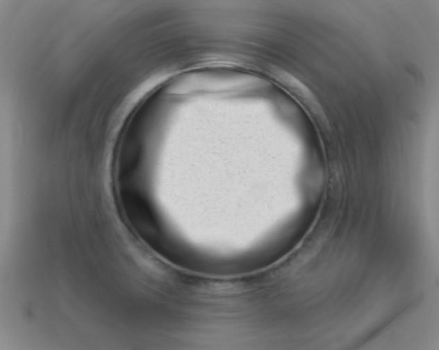 X0000113001427200909101746