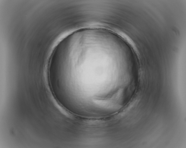 X0000113001429200909101747