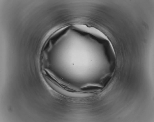 X0000113001434200909101747