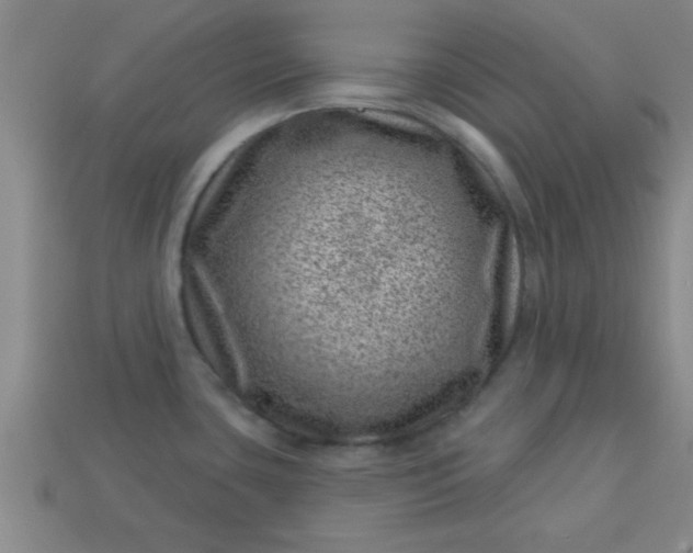 X0000113001435200909101747