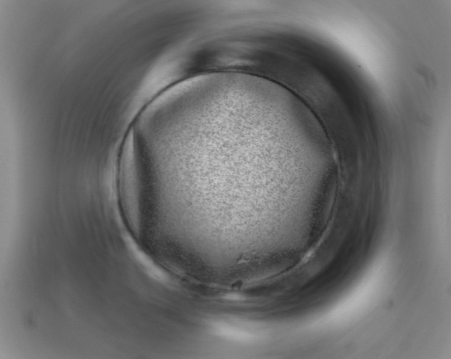 X0000113001439200909101747