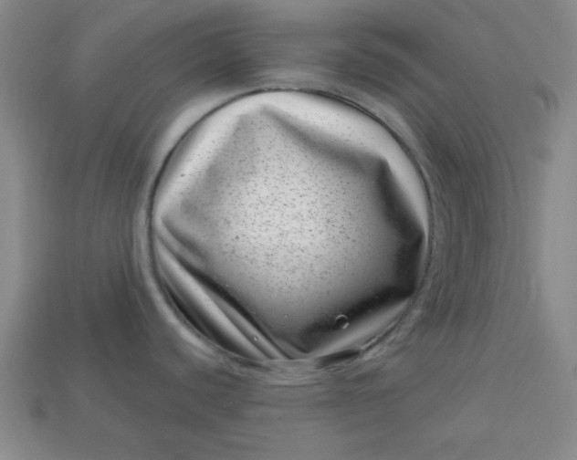 X0000113001440200909101747