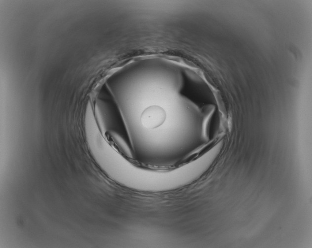 X0000113001444200909101746