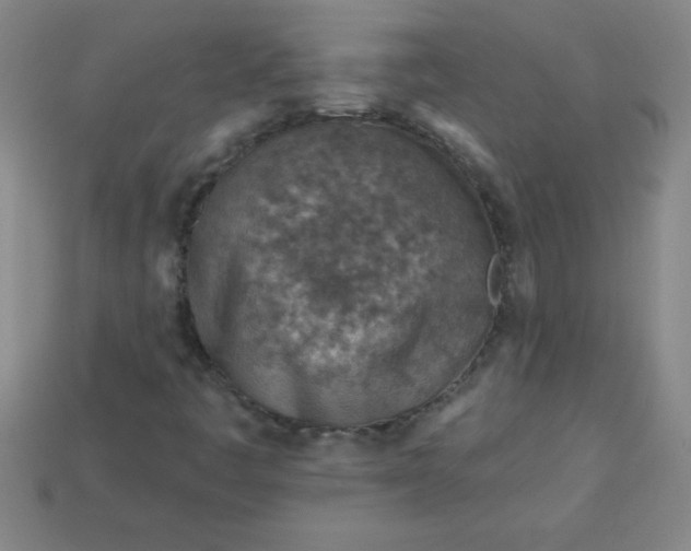 X0000113001445200909101746