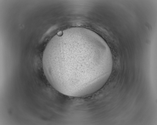 X0000113001446200909101746