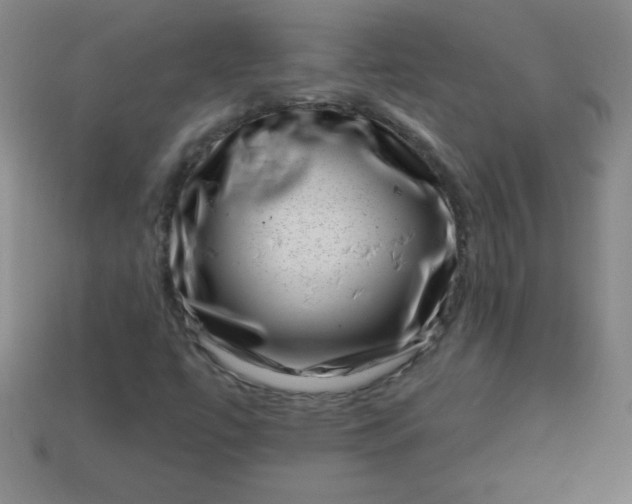 X0000113001447200909101746