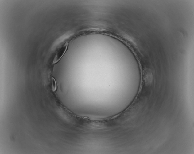 X0000113001448200909101746