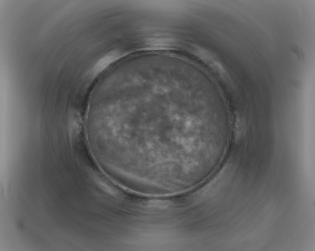 X0000113001449200909101746