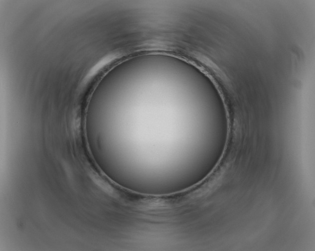 X0000113001450200909101746