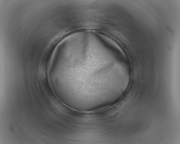 X0000113001451200909101746