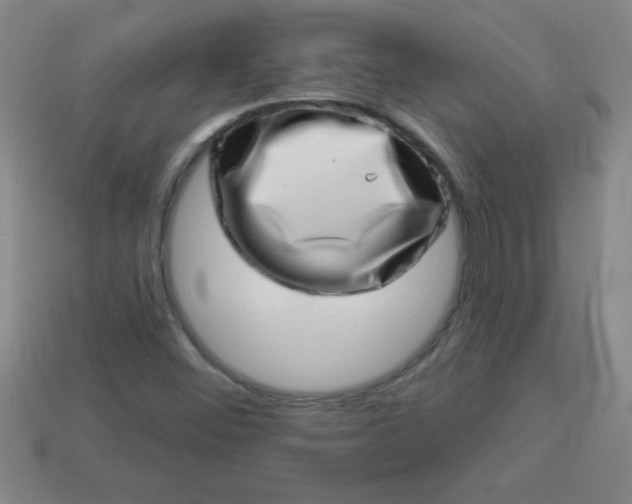 X0000113001452200909101746