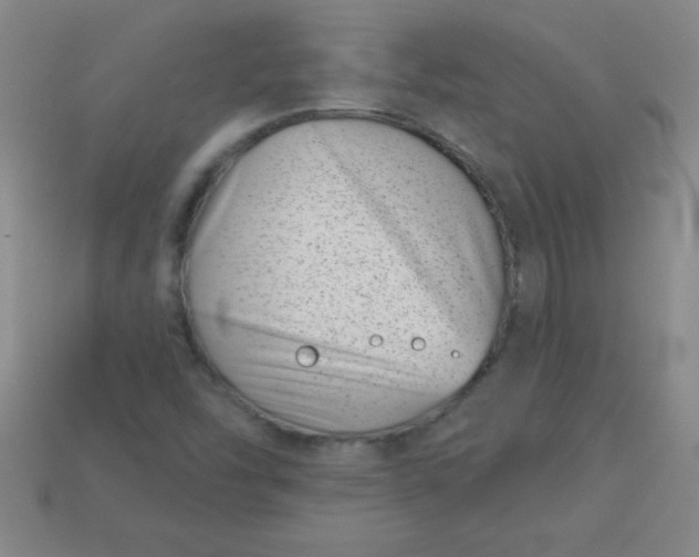 X0000113001454200909101746