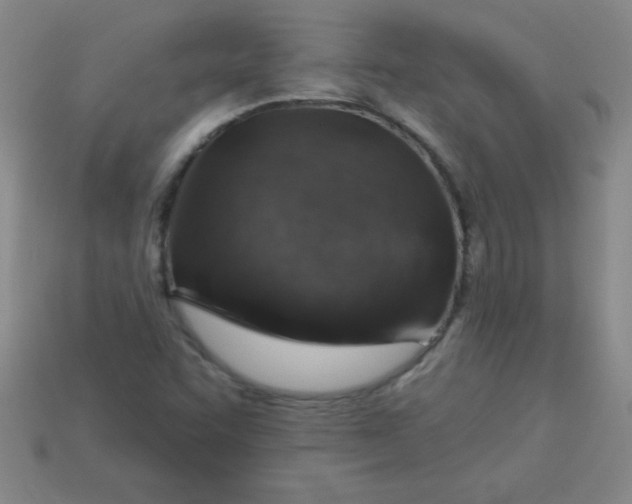 X0000113001455200909101746