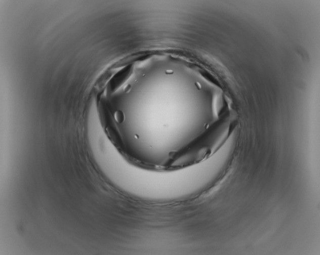 X0000113001457200909101746