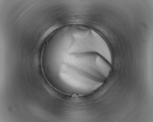 X0000113001458200909101746