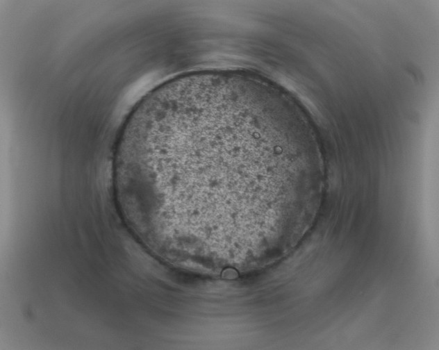 X0000113001459200909101746