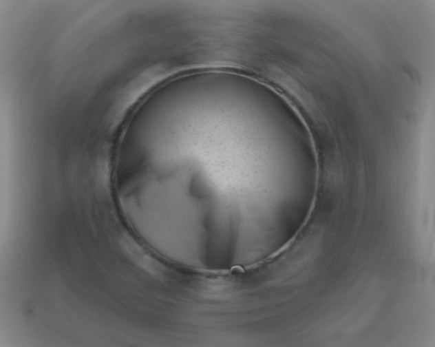 X0000113001460200909101746