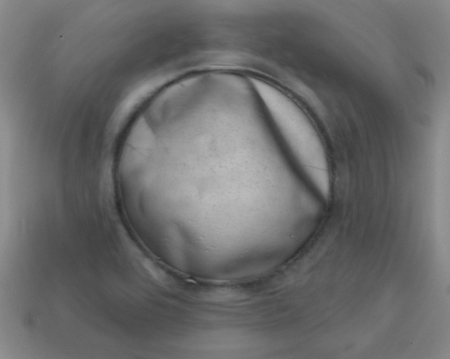 X0000113001464200909101746