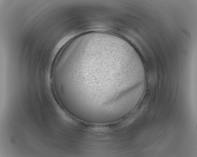 X0000113001466200909101746