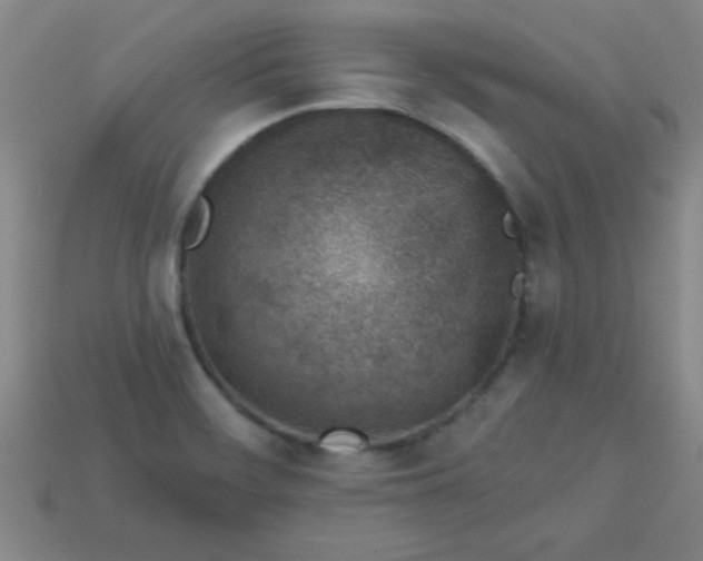 X0000113001468200909101746