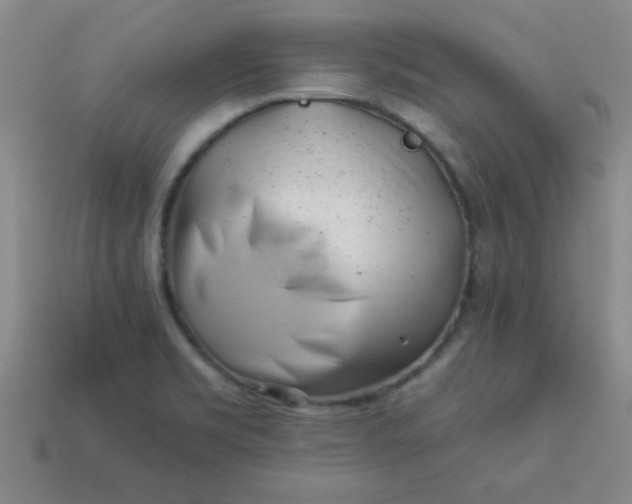 X0000113001469200909101746