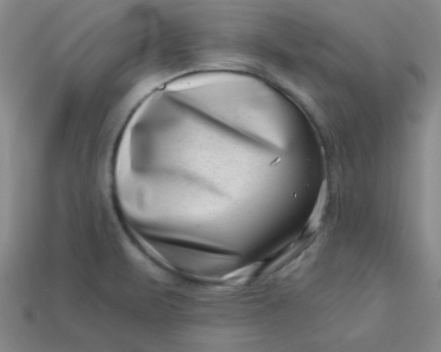 X0000113001471200909101746