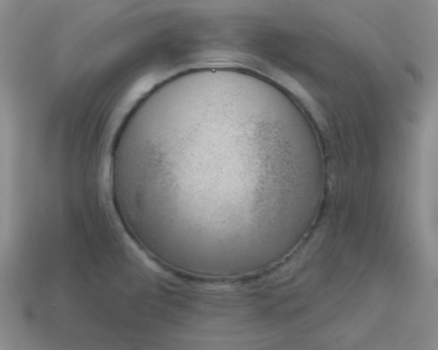 X0000113001472200909101746