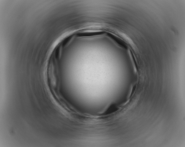 X0000113001475200909101746