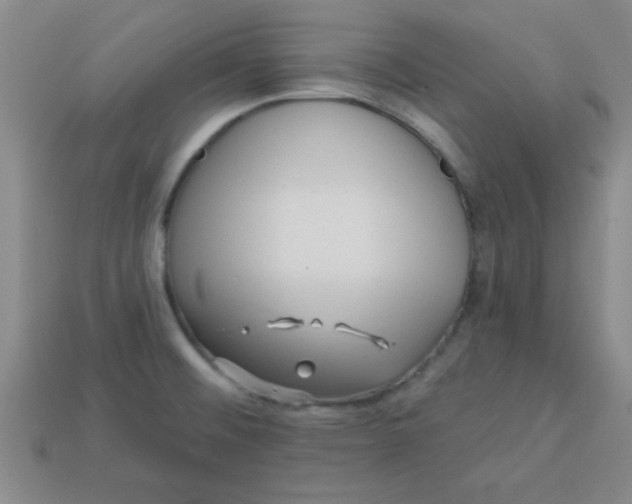 X0000113001476200909101746