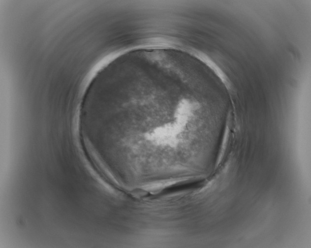 X0000113001477200909101746