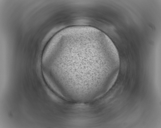 X0000113001478200909101746