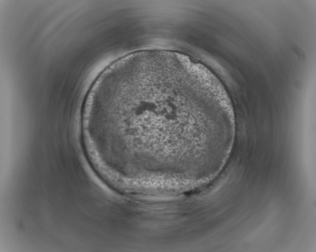 X0000113001479200909101746