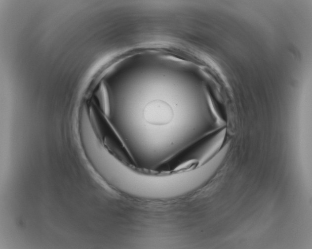 X0000113001480200909101746