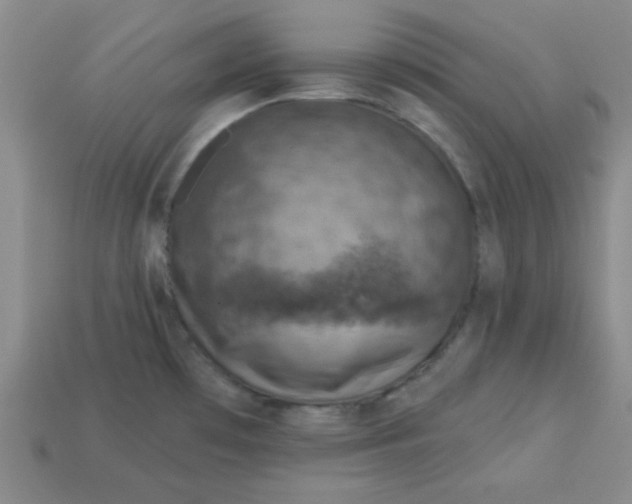 X0000113001481200909101746