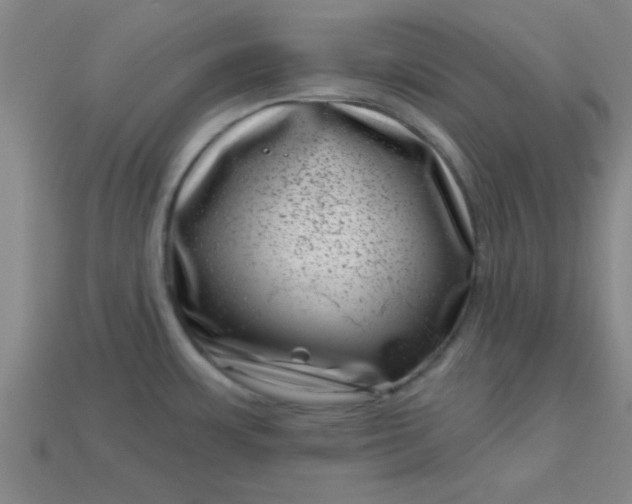 X0000113001483200909101746