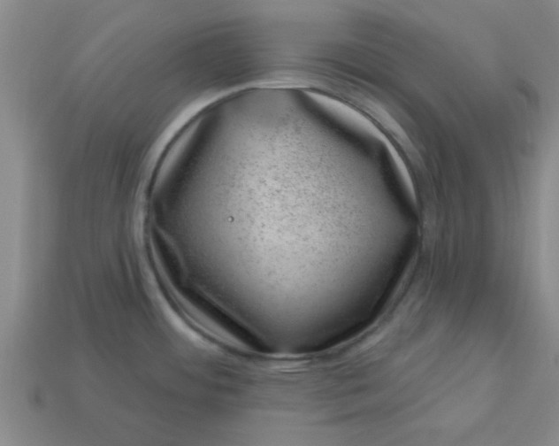 X0000113001484200909101746