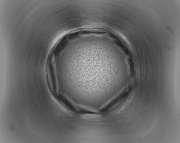 X0000113001487200909101745