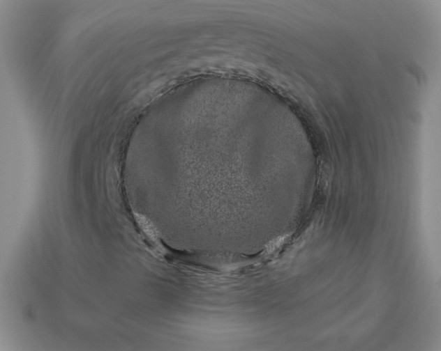 X0000113001489200909101745