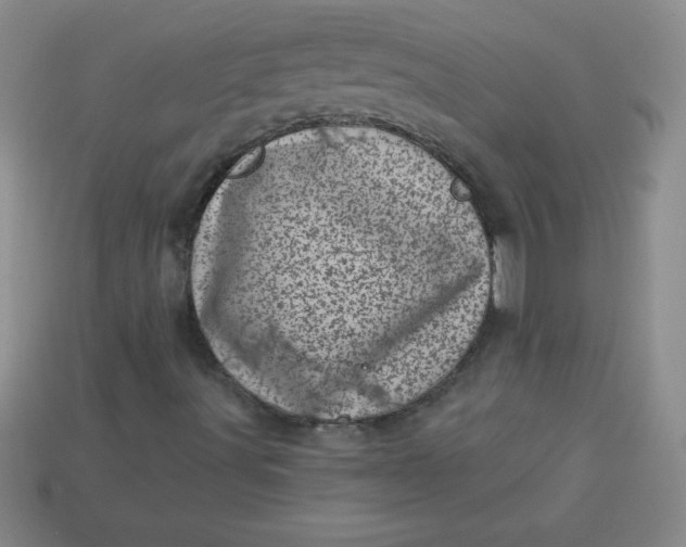 X0000113001491200909101745