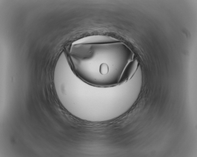 X0000113001492200909101745